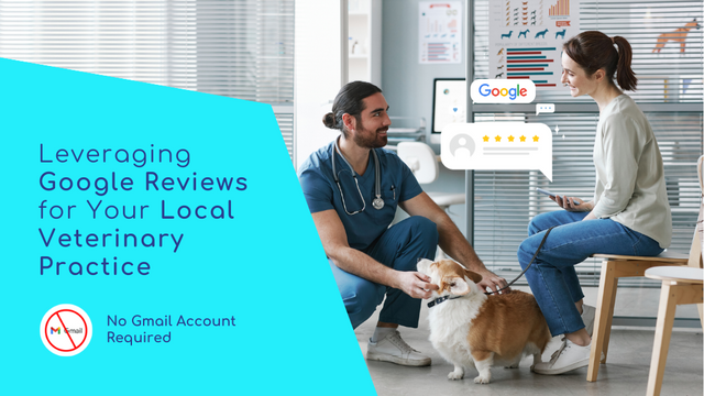 Leveraging Google Reviews for Your Local Veterinary Practice – No Gmail Account Required